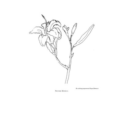 A natural path to drawing. Nikolaidis K.-6