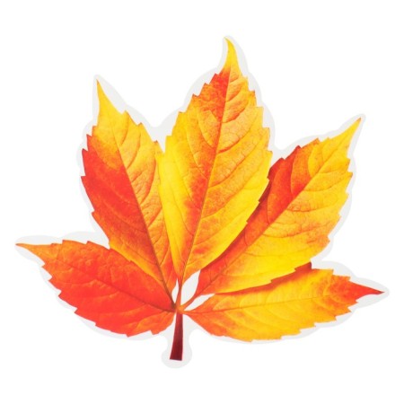 Decoration on the adhesive tape "Autumn leaves" orange, 18x18 cm