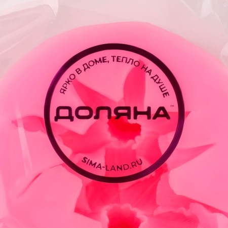 Mold Dolyana "Flowering", silicone, d = 7 cm, color mix-6