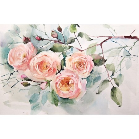 Pictures on the subframe "Watercolor. Rosa branch" 40*50 cm