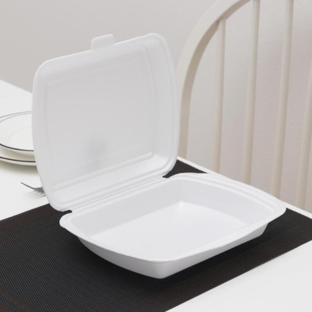 Disposable lunch box, 24.7 × 20.6 × 7 cm, 1 section, white color-2