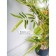 Bamboo in a cement pot, 125 × 125 × 650 mm, green / black / beige color