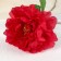Artificial flowers "velvet peony" 15x55 cm, red