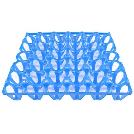 Tray for chicken eggs, blue