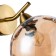 Bra Indigo, 11003/1W Cognac. 1x40W, E14, 269x200x252 mm, cognac color