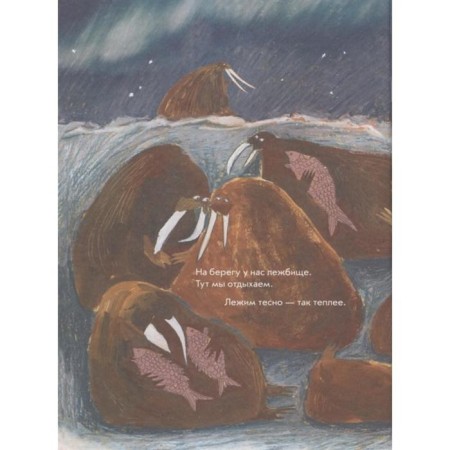 The walrus is like a walrus, nothing special. Dimitrova D.-3