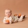 Combineson crumb I am oranges r. 86-92, milk