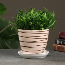 Flower Pot 