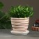 Flower Pot "Lines" 1 l,