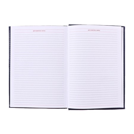Diary of Leduced A5, 160 sheets of Nebraska, covering artificial leather, corner perforation, blue-17