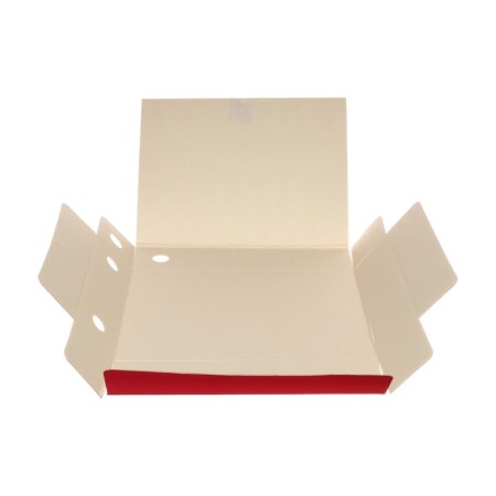 Archive folder with Calligrata ties, microhofrocard, 70 mm, up to 700 l, red-8