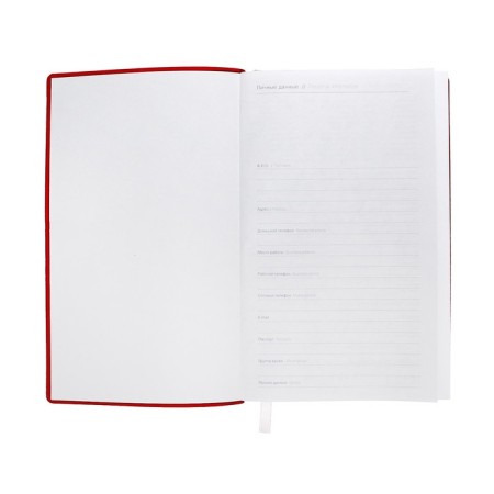 Lotted diary, 130x200 mm 128 sheets, leatherette, gray block 70 g/m2, lies, branch under the handle, red-2