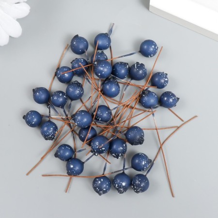 Decor for creativity "Berry - Blue" Blue D = 1 cm set 30pcs-2