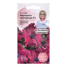 Flowers of Petunia 