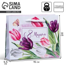 Package Gift Laminated Horizontal, Packaging, 