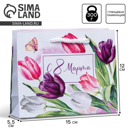 Package Gift Laminated Horizontal, Packaging, "Delicate Holiday", S 12 x 15 x 5.5 cm