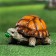 Garden figure "Turtle" average, 22x15.5x13cm