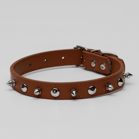 Collar "Lyon" with spikes 45 x 2 cm, Osh 34-40 cm, brown