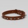 Collar "Lyon" with spikes 45 x 2 cm, Osh 34-40 cm, brown