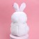 Soft toy "You conquered my heart", Bunny, Mix color