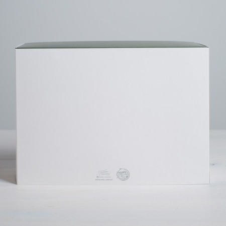 Gift folding box, packaging, Present for You, 25 x 18 x 10 cm-3