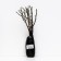 Barberis Tunberg "Atropurpurea" 1 pc, tube, spring 2025