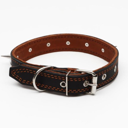Collar leather two-layer studded, 63 x 3 cm, Osh 40-55 cm, black-1
