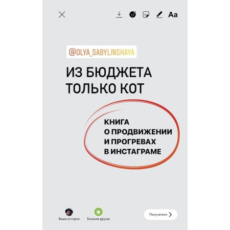 From the budget only a cat. The book on promotion and heating on Instagram. Sabilinskaya O.