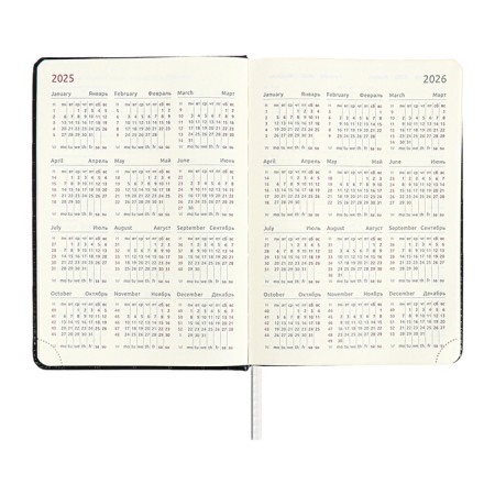 Dated diary 2024 A5 176 sheets, Devente.grande, firm artificial leather cover, stamping foil, lies, cream block 70 g/m2, black-8