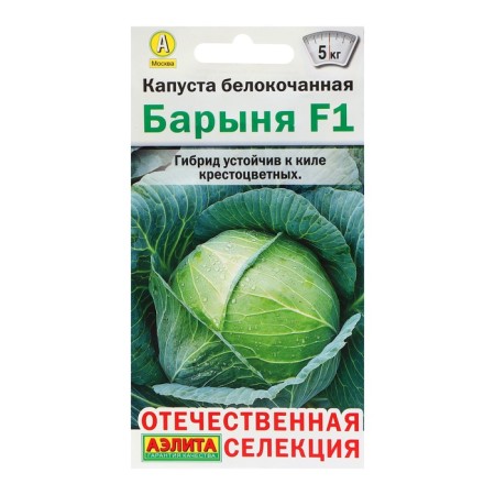 Cabbage Cabbage seeds "lady" F1, c/n, 15 pcs