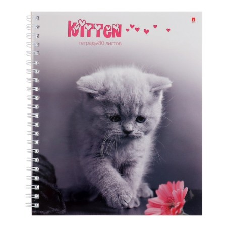 A notebook of 80 sheets in a cage on the crest "Kittens", a cover coated cardboard, glossy lamination, mix-3