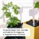 Set for seedlings: glasses of 320 ml (18 pcs.), Patron 51 × 26 cm, Greengo