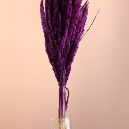Set of dried flowers "Weinik", banch length 65 (+/- 6 cm), plum-1