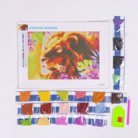 Diamond mosaic with full filling on the canvas "Leo", 20 x 30 cm-2