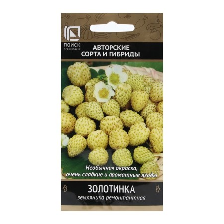 Strawberries repairman "Zolotinka" 100 pcs