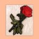 Thermal appliance "Rose", 23 × 15.5 cm, red color