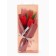 Bouquet of three red tulips