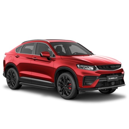 The thresholds of "Premium-Black" Rival for Geely Tugella I 2020-n.-1