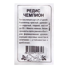 Seeds Radis 