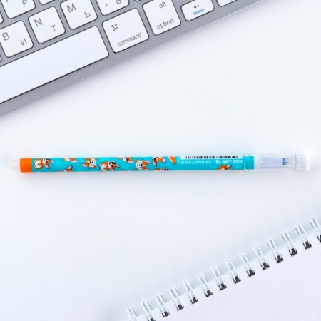 PEC PLACE WRITE-WRITIRY WITH A CORGIC cap, Blue pasta, gel 0.5 mm-2