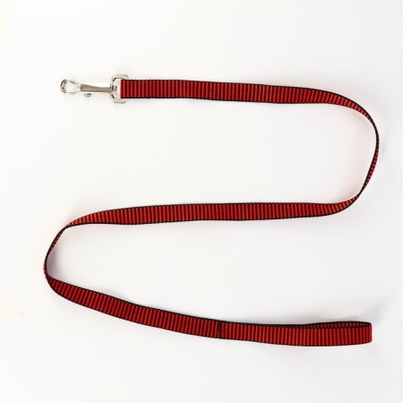 Acunition set is embossed, leash 120 x 2 cm, og 44-50 cm, red-black-5