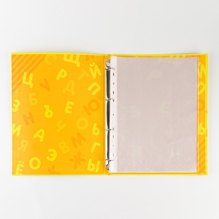 School folder on the rings "Portfolio of a preschooler", 14 sheets-undergraduate, 24.5 x 32 cm.-5