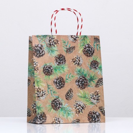 Gift package "cones in the snow" 26 x 32 x 12 cm-2