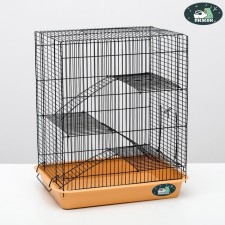 The cage for rodents 