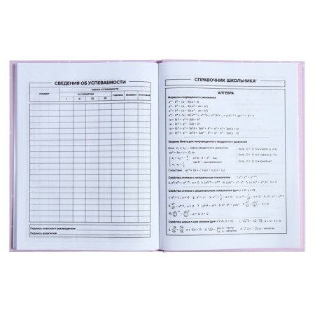Universal Diary Grade 1-11, 48 sheets "kitten and mouse", solid cover, pancake embossing, UV-lame, matte lamination-8