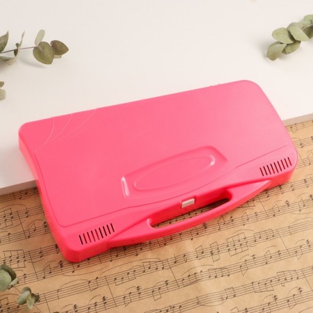 Musical tool Music Life, 25 tones, case, 2 sticks, pink-3