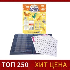 Cashcase of letters, syllables and accounts of Calligrata, with color pattern, A5, PVC