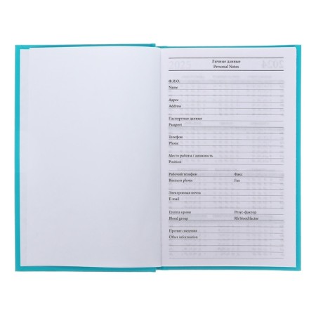 Diary of a low -up a5 128 sheets, a boumvinyl cover, turquoise-2