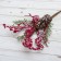 Decor "Winter Dreams" Berry Frig with a bump, 30 cm