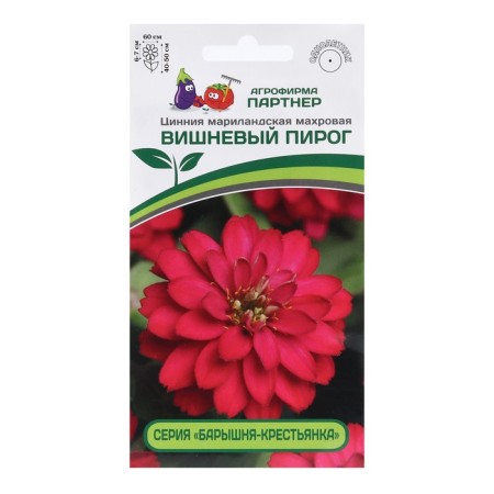 Flowers of Tsinnia Tensor lady-peasant "Cherry Pie", 5 pcs.